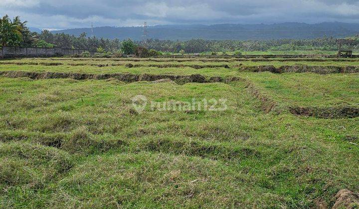 Land for Sale in Los Pantai Location Pangyangan Pekutatan Jembrana Bali 2