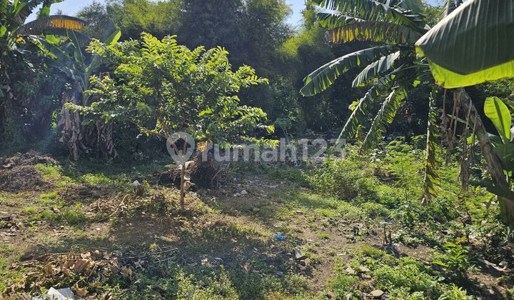 For Rent Land Plot in Padonan, North Kuta, Badung, Bali