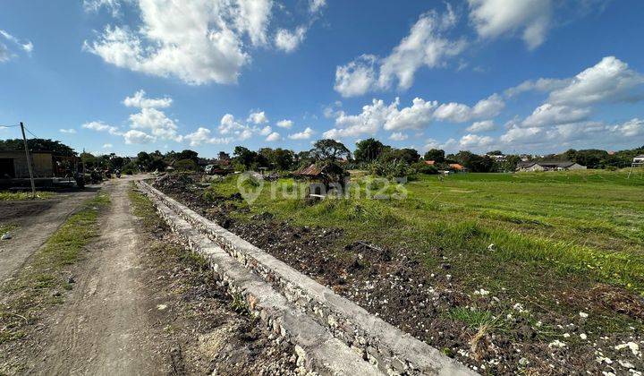 Land for sale in the Bumbak Umalas Kerobokan Kelod area 1