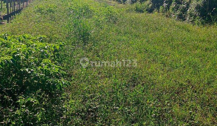 Dijual tanah View Danau lokasi pancasari bedugul buleleng  2