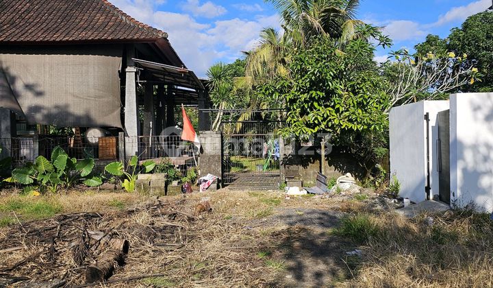 For Rent Land Location Cica Buduk Mengwi Badung