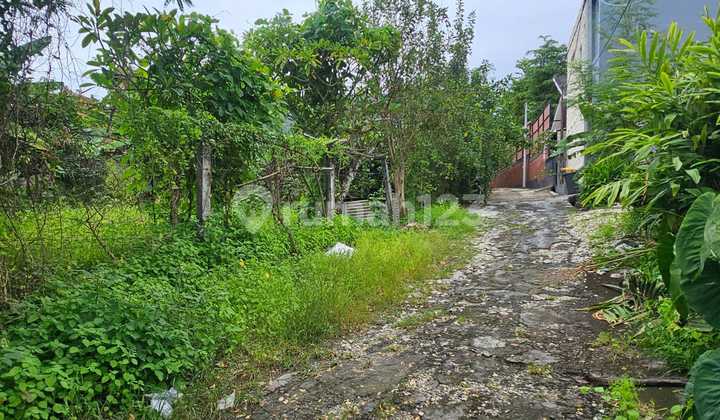 Dijual Tanah Komersil View Sungai Lokasi Umalas Kerobokan Dijual Tanah Komersil View Sungai Lokasi Umalas Kerobokan