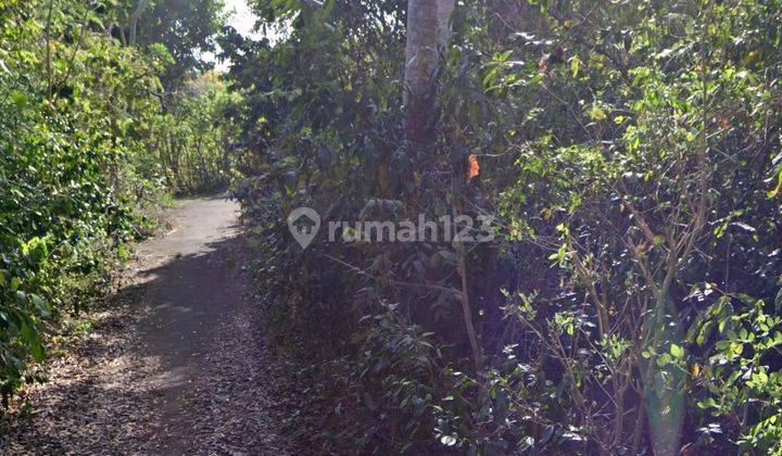 Dijual Tanah Lokasi Dekat Villa Alila Pecatu Kuta Selatan  1