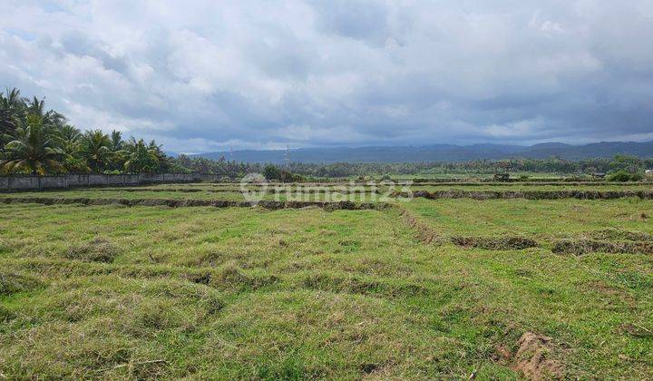 Land for Sale in Los Pantai Location Pangyangan Pekutatan Jembrana Bali 1