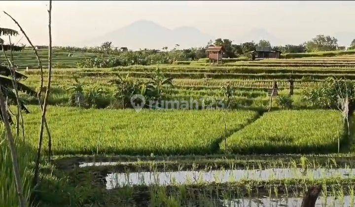 Dijual tanah murah lokasi kerobokan dekat umalas  2