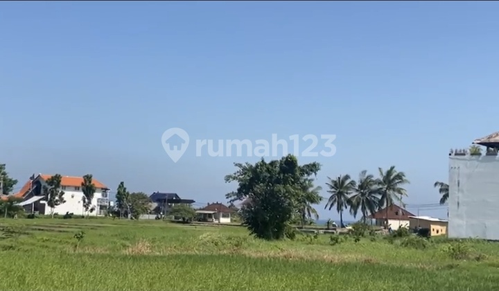 For Sale Land Location Kedungu Belalang Tabanan Bali