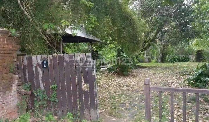 Dijual Tanah Los Sungai Lokasi Pererenan Mengwi Badung 1