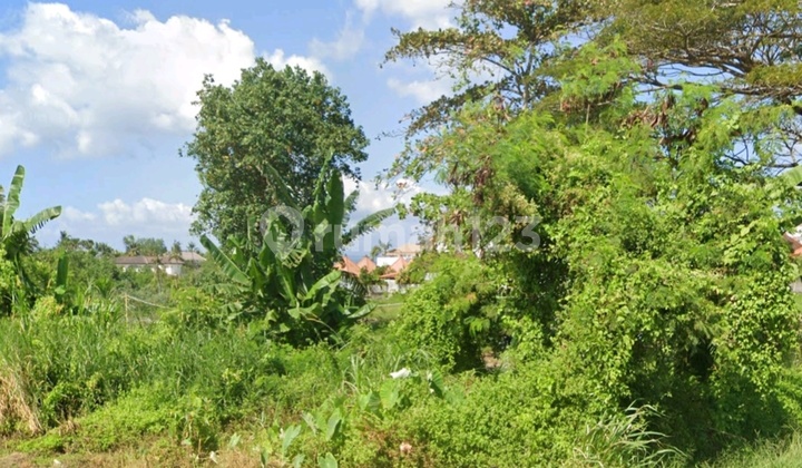 Dijual Tanah Jalan Utama Lokasi Pantai Seseh Mengwi Badung Bali