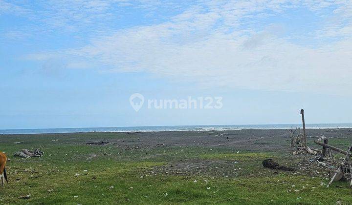 Land for sale at the beach in Mendoyo, Jembrana 1