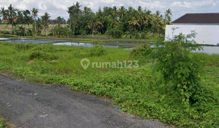 Dijual tanah lokasi cemagi mengwi badung bali 2