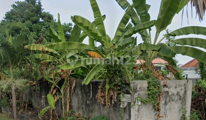 Dijual Tanah Jalan Utama Lokasi Umabuluh Canggu Kuta Utara Badung Dijual Tanah Jalan Utama Lokasi Umabuluh Canggu Kuta Utara Badung
