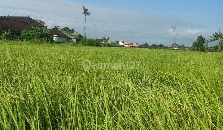 Dijual Tanah View Sawah Lokasi Lodtunduh Ubud Gianyar Bali 1