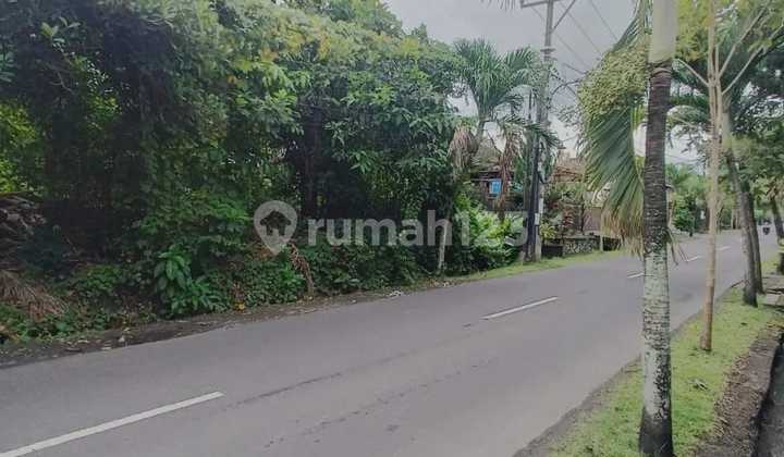 Land for sale on the main road in Padang Tawang Babakan Canggu location