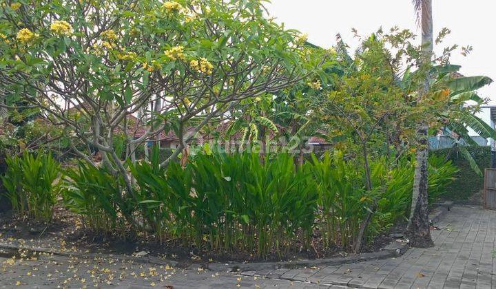 Dijual Tanah Murah lokasi Padang Linjong Canggu 1