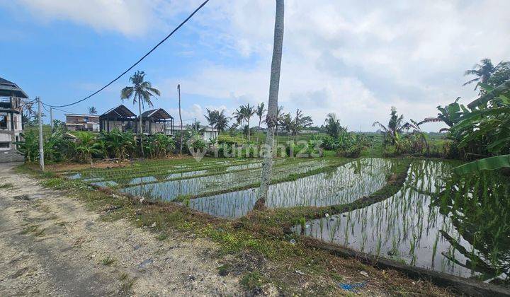 Dijual Tanah View Sawah Lokasi Nyanyi Tabanan 1