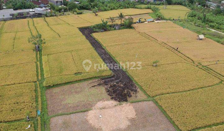 Dijual tanah lokasi tuka dalung kuta utara badung 1