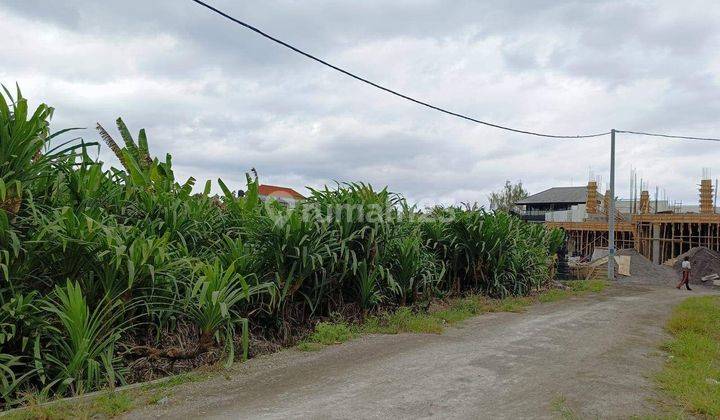 Disewakan Tanah Lokasi Tumbak Bayuh Pererenan Mengwi 1