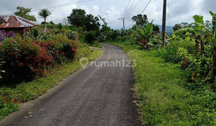 Dijual Tanah Lokasi Wanagiri Munduk Buleleng  1