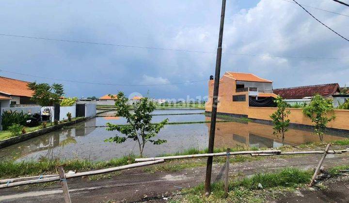 Disewakan tanah dekat pantai lokasi cemagi mengwi 2