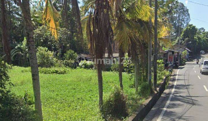 Land for rent in the Mas Ubud Gianyar Bali location 2