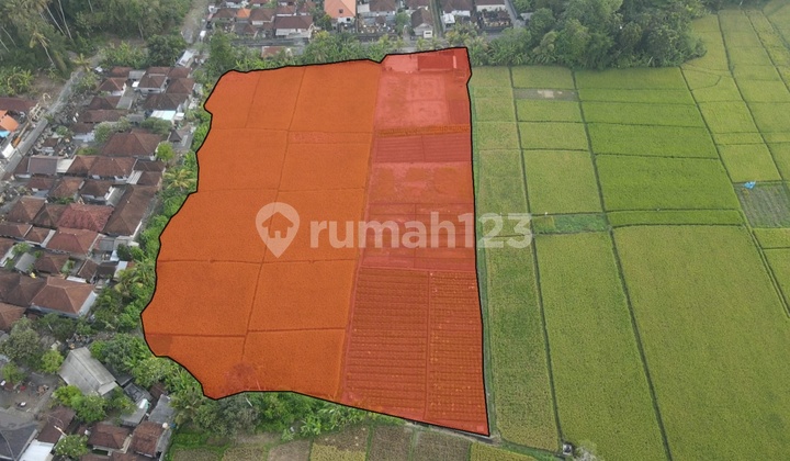Land for Sale Near Beach Location - Kelating, Kerambitan Land for Sale Near Beach Location - Kelating, Kerambitan