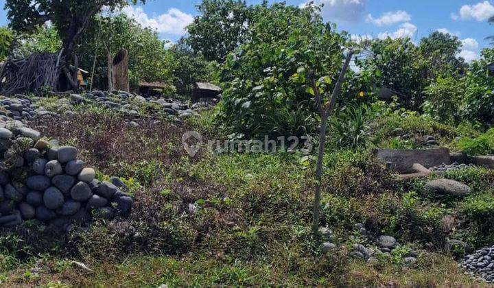 Dijual tanah lokasi beraban tabanan bali 2