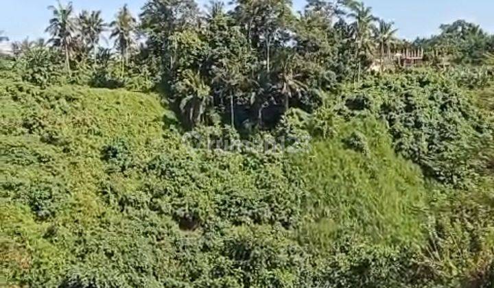 Land for rent located in Ubud Gianyar Bali 2