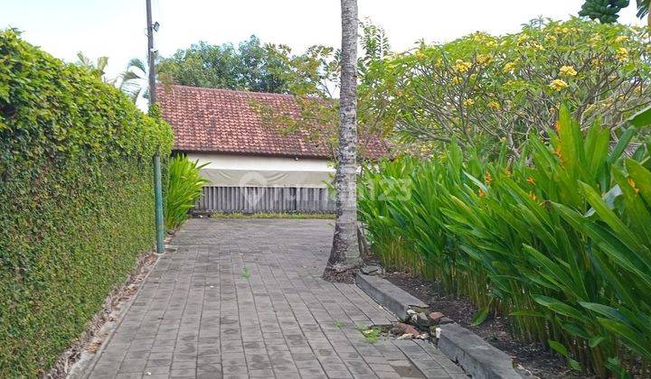 Dijual Tanah Murah lokasi Padang Linjong Canggu 2