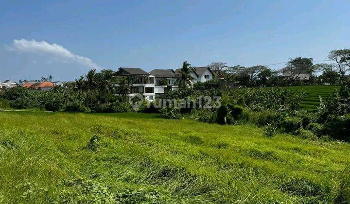 Land for rent at the Lima Pererenan beach, Mengwi 1