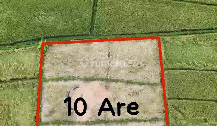 Dijual Tanah View Sawah Lokasi Nyanyi Beraban Kediri Tabanan