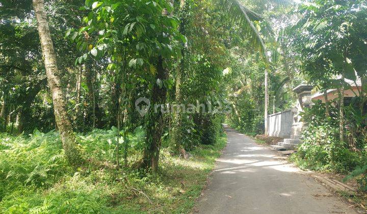 Dijual Tanah Lokasi Kelusa Payangan Gianyar Bali 1