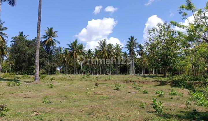 Dijual Tanah Los Pantai Lokasi Desa Balaluk Negara Jembrana 2