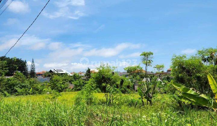 Dijual Tanah Murah Lokasi Padang Linjong Canggu 1