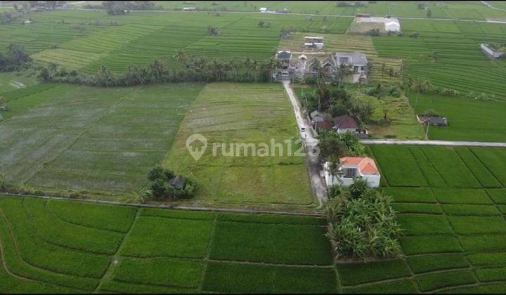 Dijual tanah view sawah lokasi nyanyi tabanan bali 1