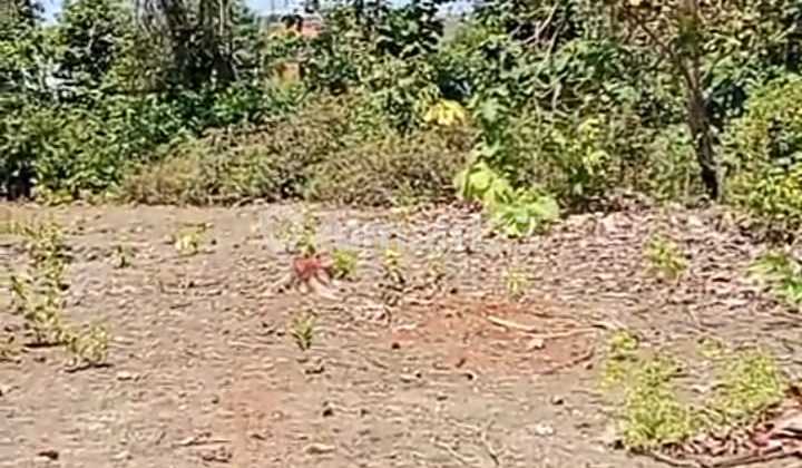 Land for Sale Near Balangan Beach Location Uluwatu South Kuta