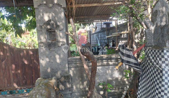 Dijual tanah lokasi jalan utama sedap malam denpasar 2