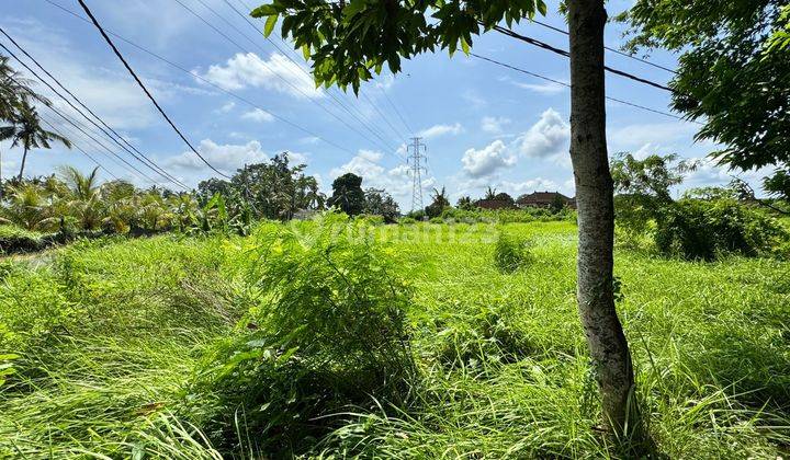 Disewakan Tanah Lokasi Lodtunduh Ubud Gianyar Bali 1