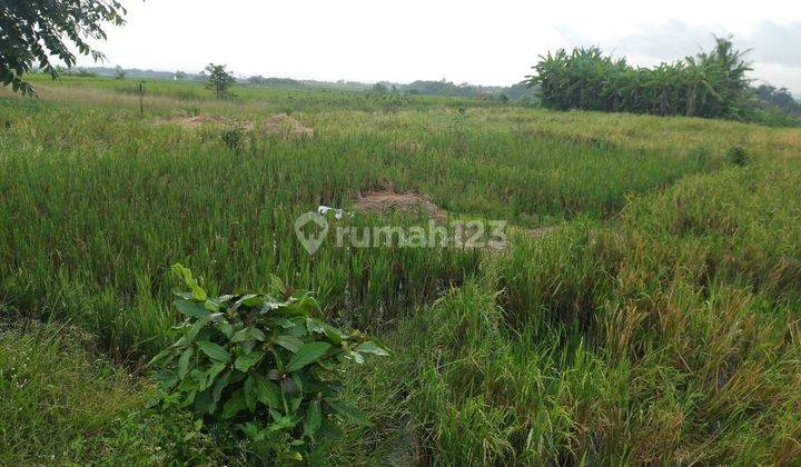 Dijual tanah lokasi kelating Kerambitan tabanan bali 2