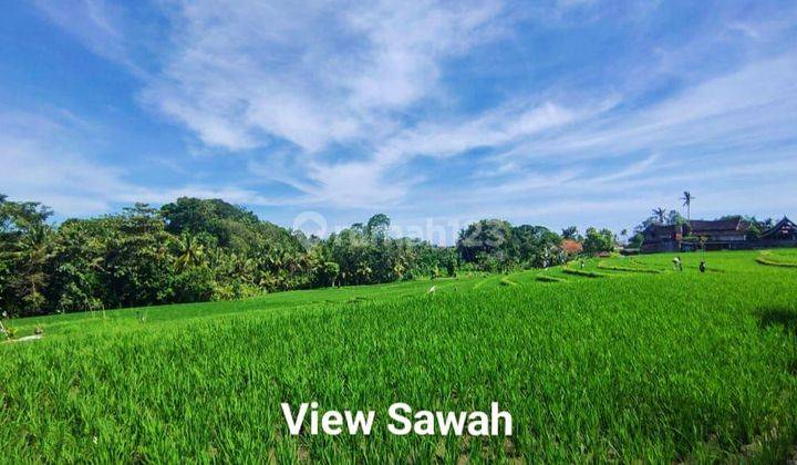 Dijual tanah los sungai lokasi nyanyi tabanan bali 2