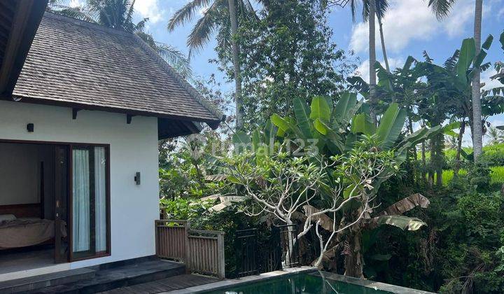 Villa for sale located on Kangetan Street, Ubud, Gianyar, Bali 2