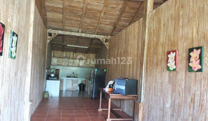 Villa for sale in Lovina Singaraja Buleleng Bali 2