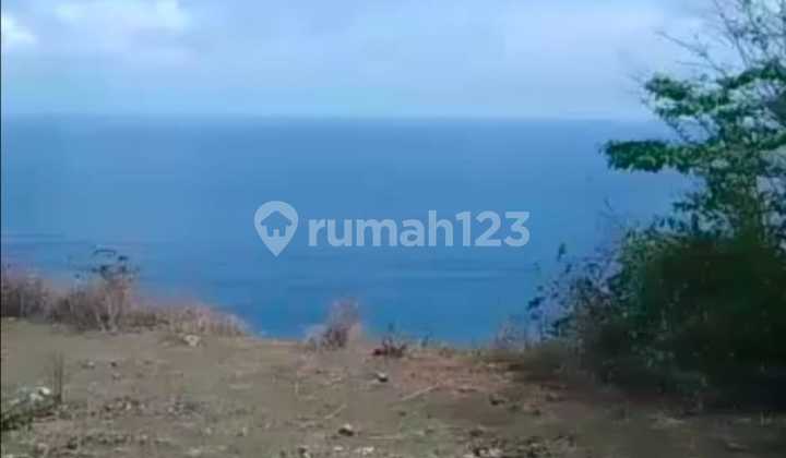 Disewakan Tanah Los Tebing Lokasi Pecatu Kuta Selatan Badung 