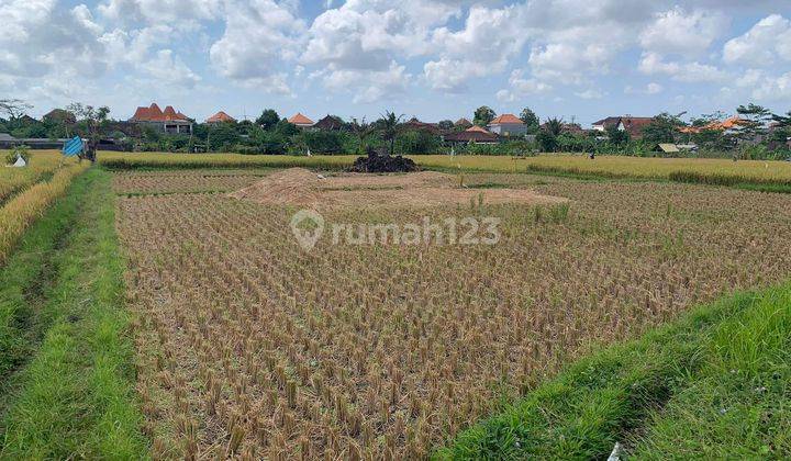 Dijual tanah lokasi tuka dalung kuta utara badung 2