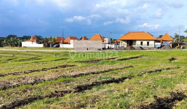 Land for sale with rice field view, Cemagi Mengwi Badung location 1