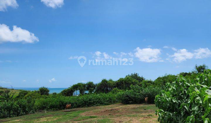 Land for sale near the beach, Cemagi Mengwi, North Kuta 2