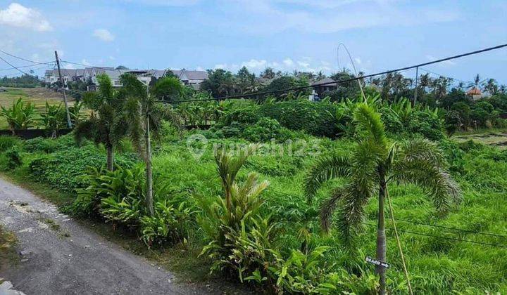 Dijual tanah lokasi cemagi mengwi badung view pantai 1