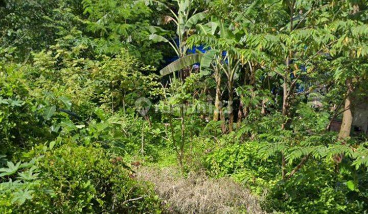 Land for sale in Buluh Indah, West Denpasar 2