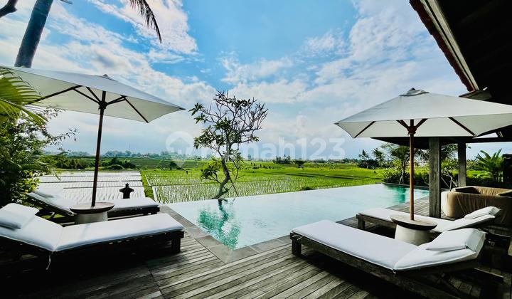 For Sale: Villa with Rice Field View, Location Nyanyi, Beraban.