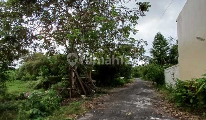 Dijual Tanah Lokasi Kutuh Ungasan Kuta Selatan