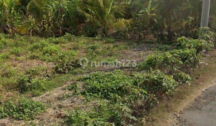 For sale land los sungai location pasut tibu biyu tabanan 1